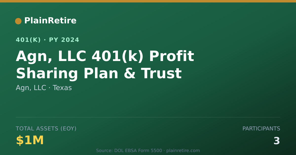 Shareable card for Agn, LLC 401(k) Plan (2024)