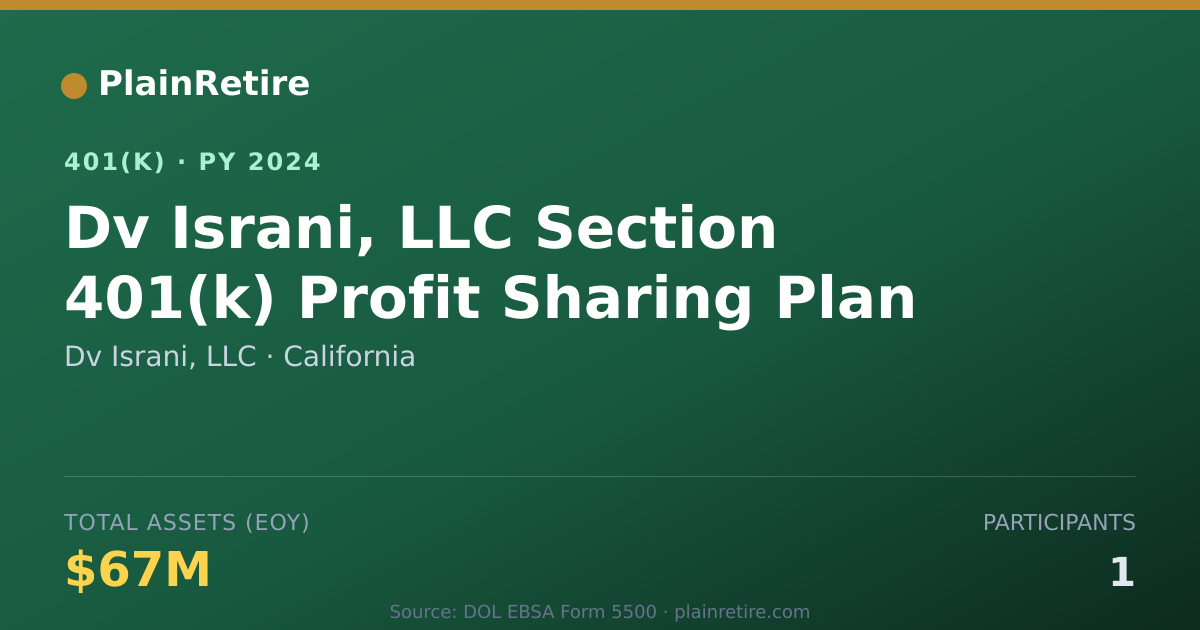 Shareable card for Dv Israni, LLC 401(k) Plan (2024)