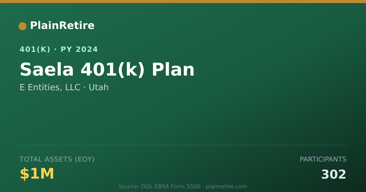 Shareable card for E Entities, LLC 401(k) Plan (2024)
