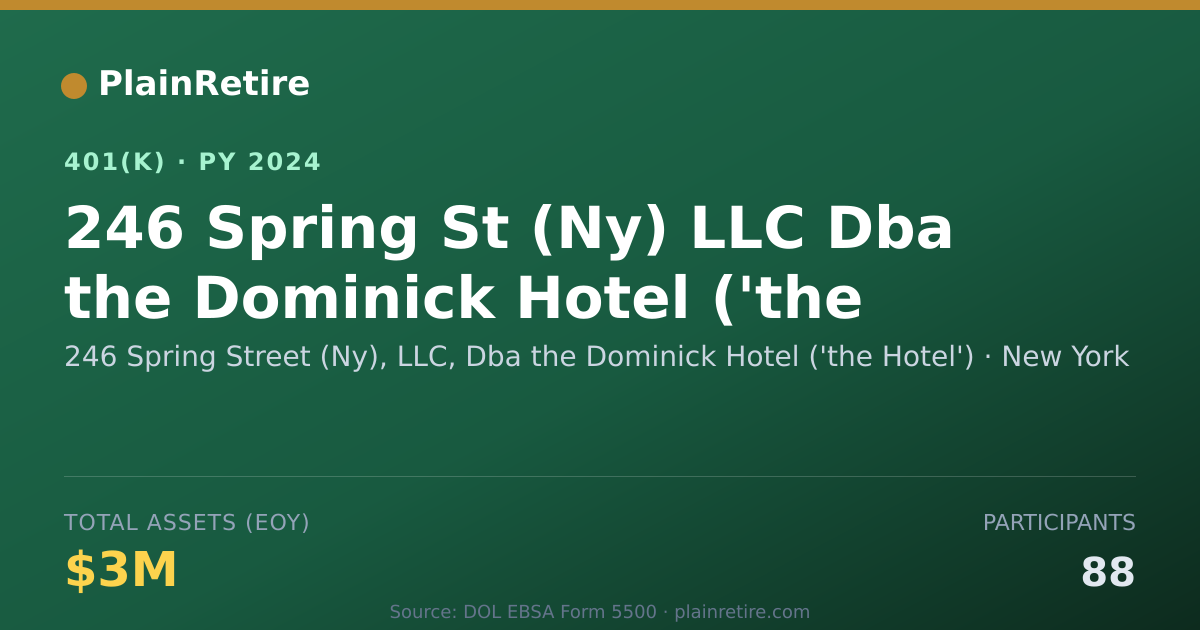 Shareable card for 246 Spring Street (Ny), LLC, Dba the Domi 401(k) Plan (2024)