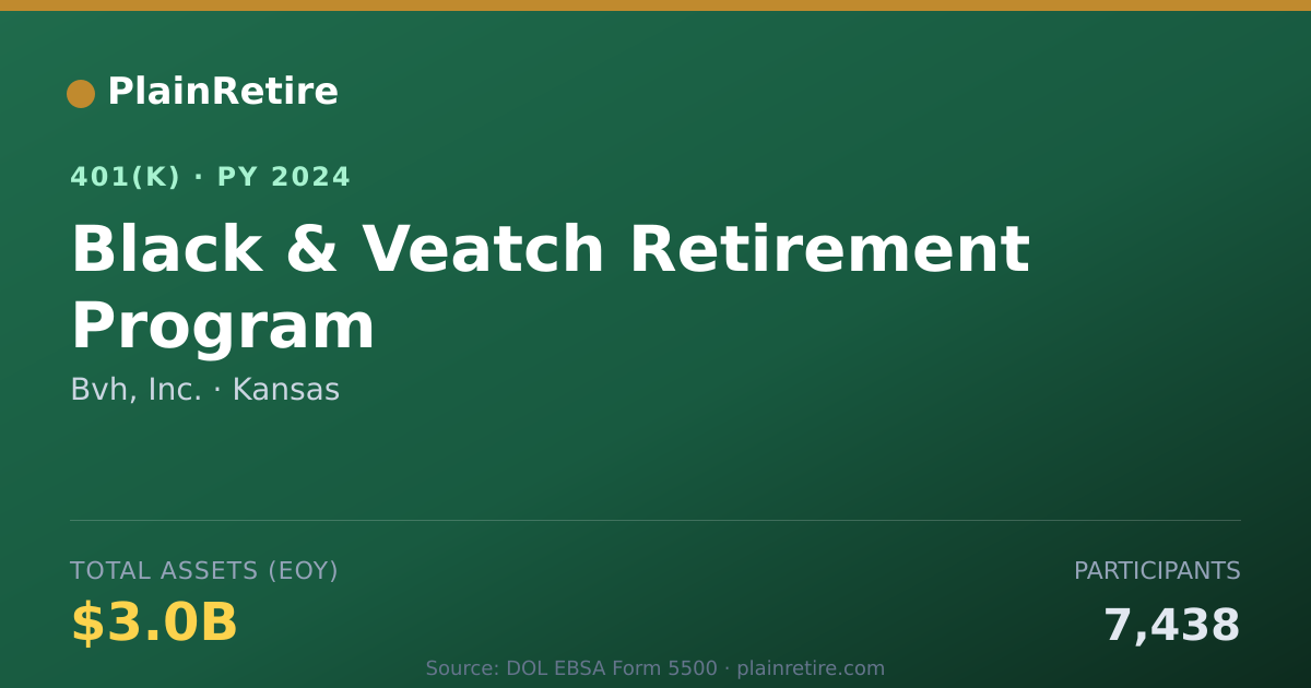 Shareable card for Bvh, Inc. 401(k) Plan (2024)
