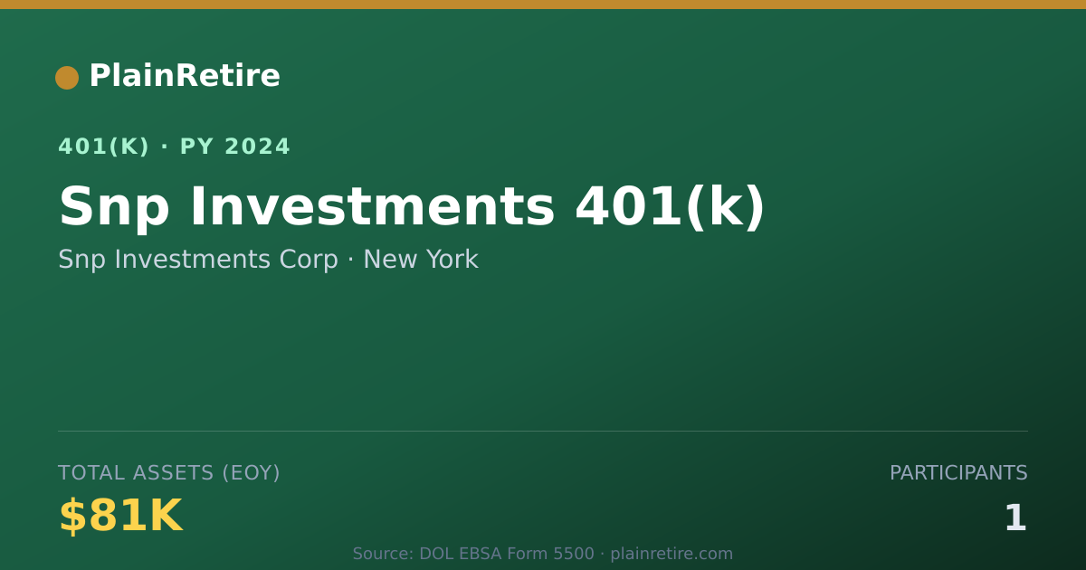 Shareable card for Snp Investments Corp 401(k) Plan (2024)