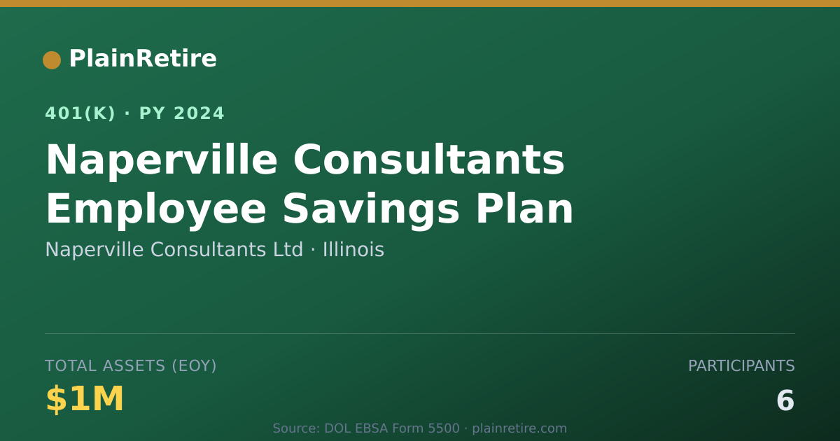 Shareable card for Naperville Consultants Ltd 401(k) Plan (2024)
