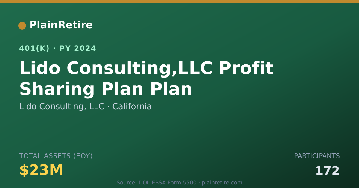 Shareable card for Lido Consulting, LLC 401(k) Plan (2024)